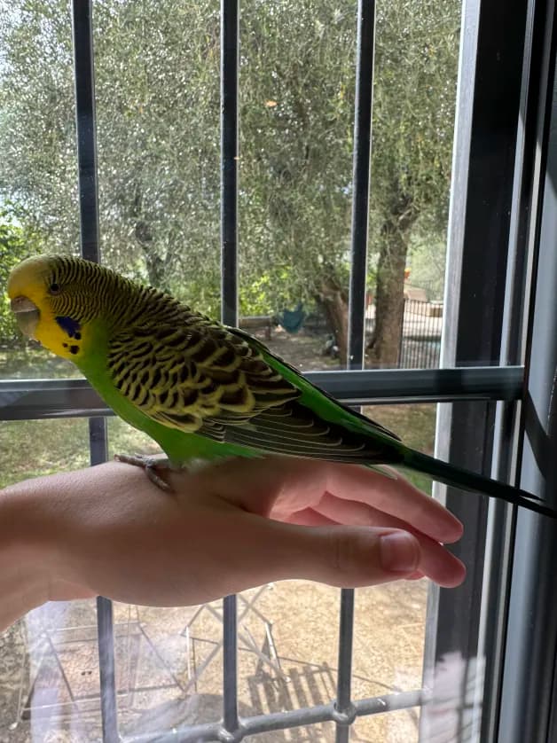 Photo de nos compagnons