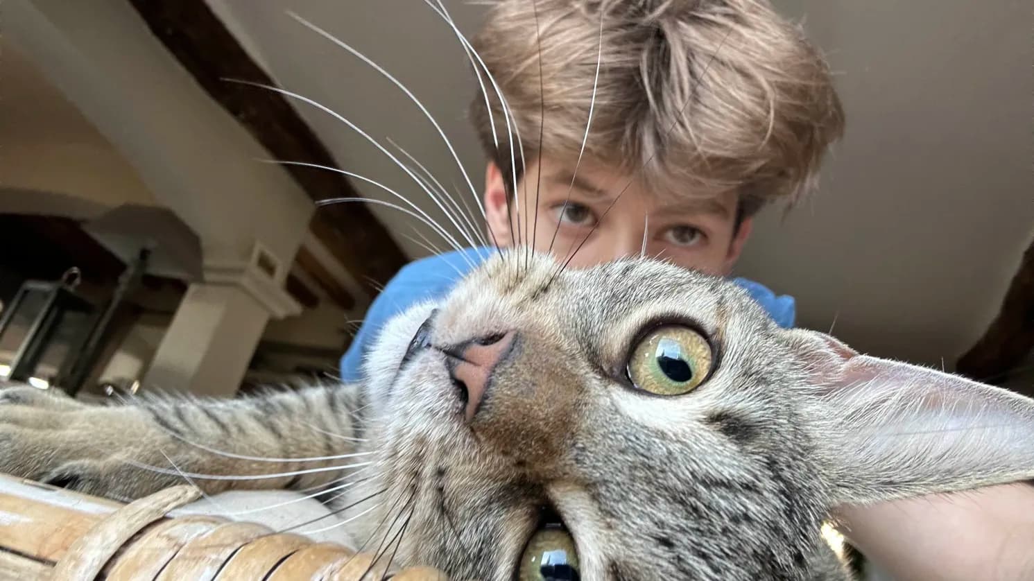 Photo de nos compagnons