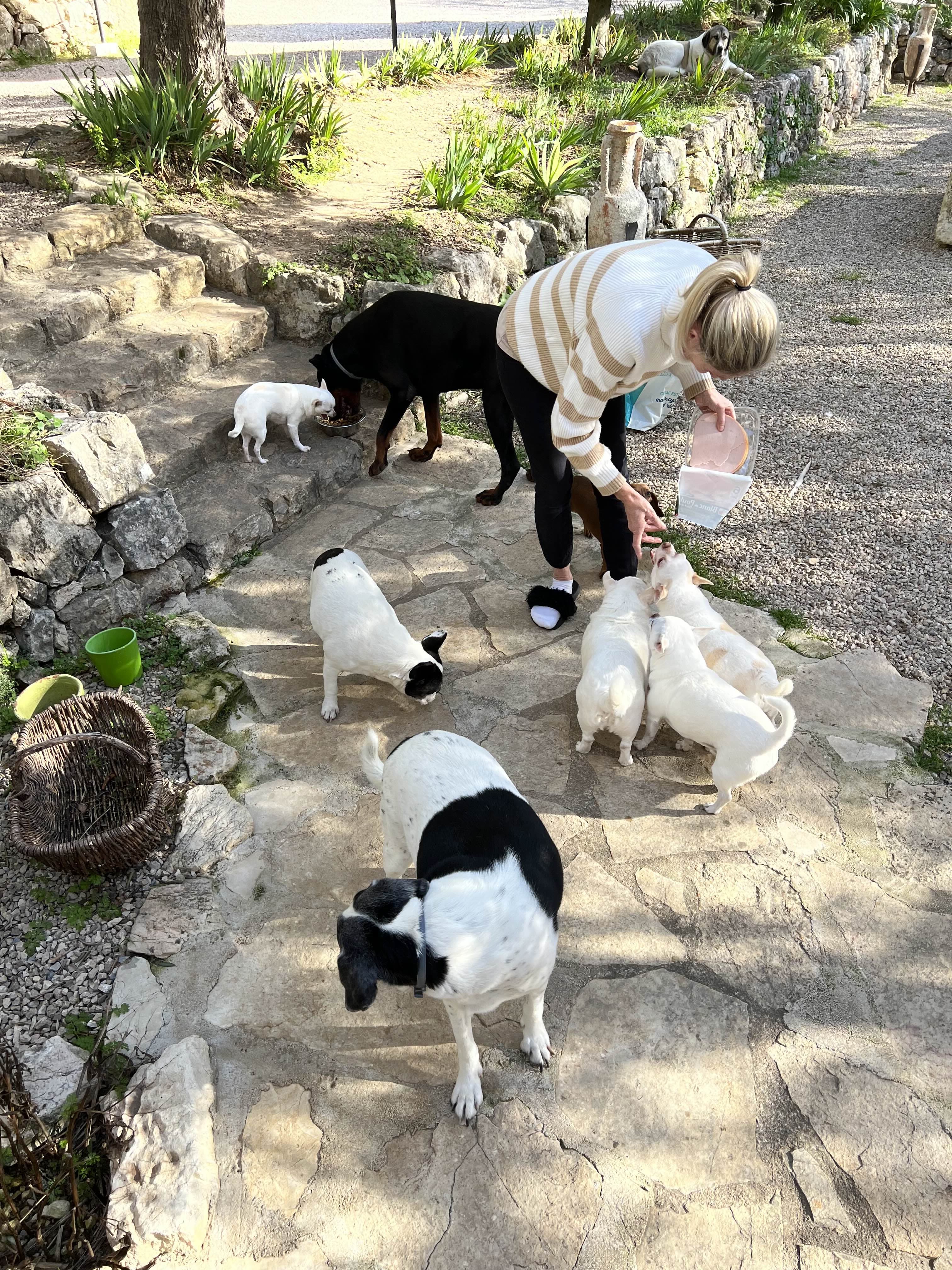 Photo de nos compagnons