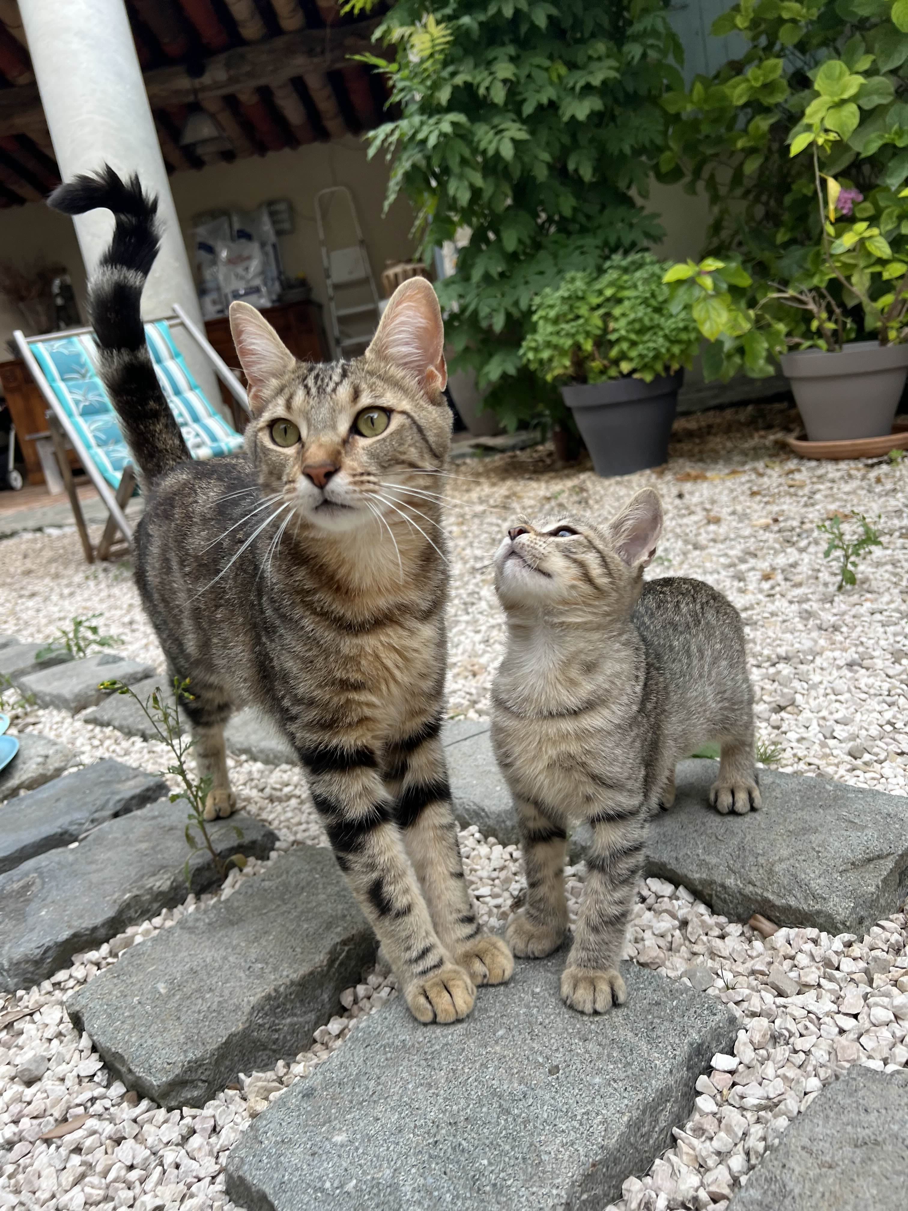 Photo de nos compagnons