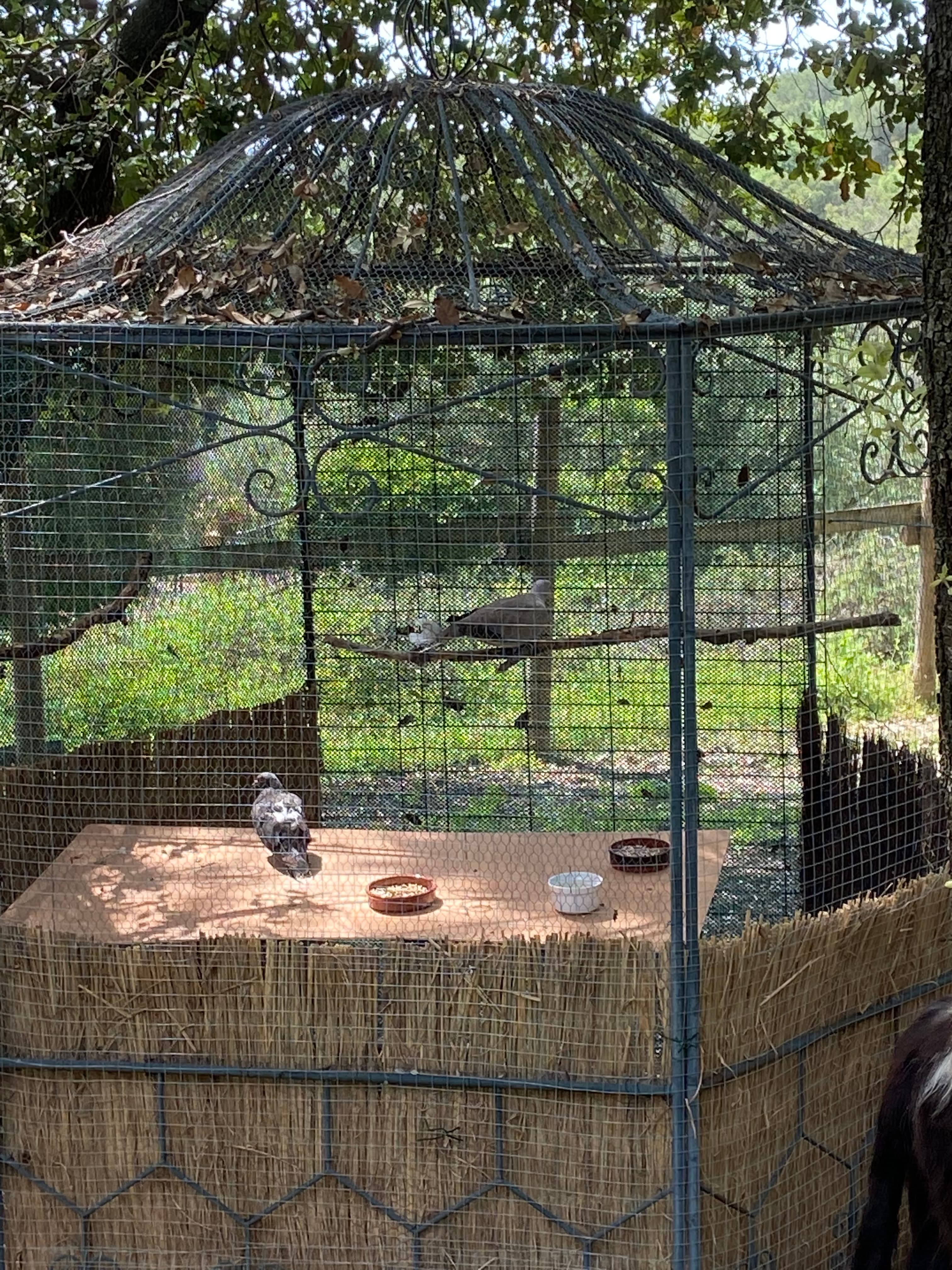 Photo de nos compagnons