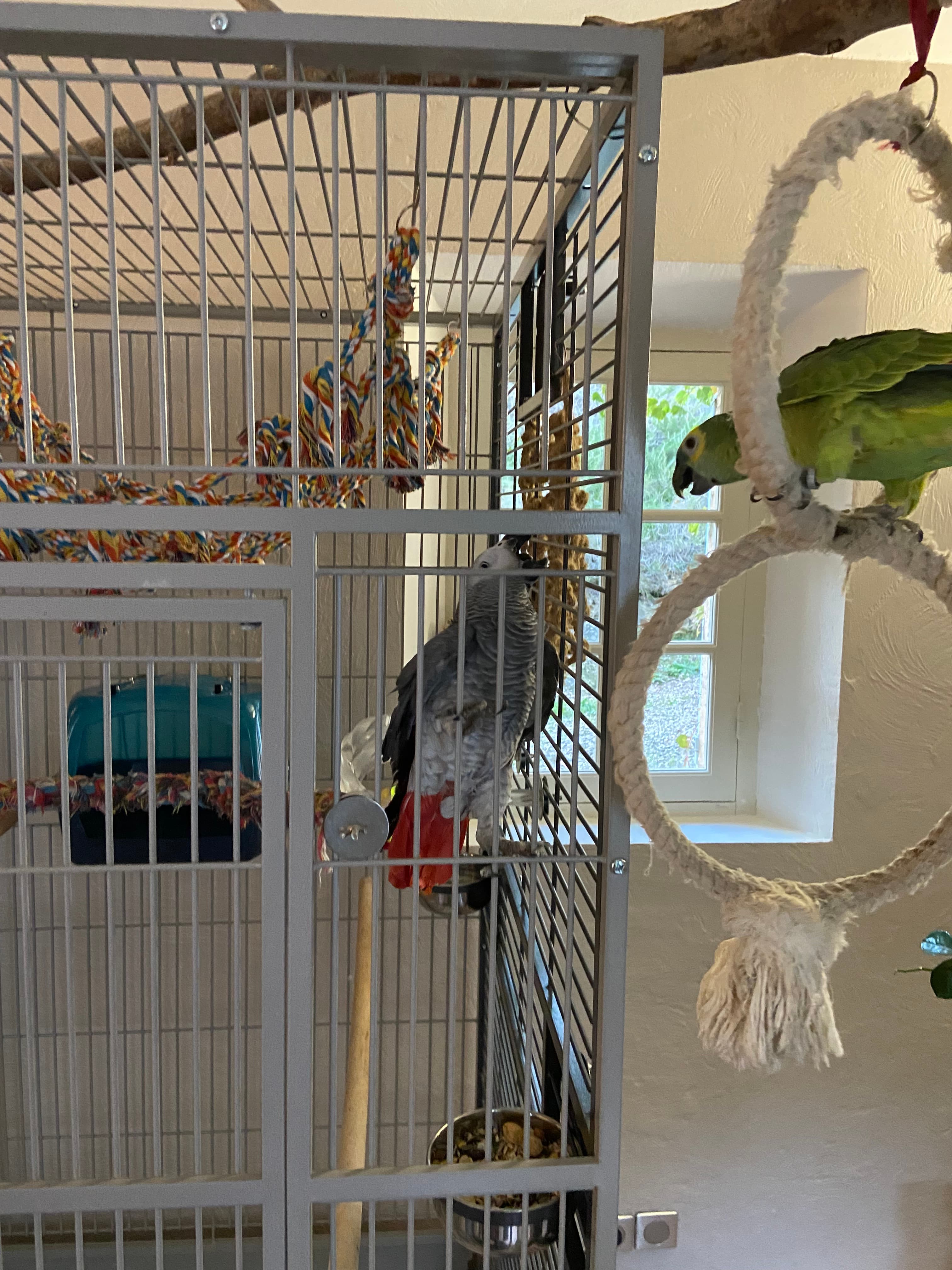 Photo de nos compagnons